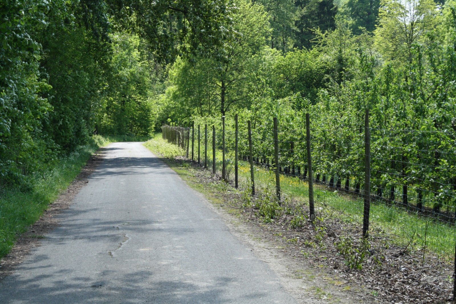 In Ruhe wandern_Erzbistum Köln (c)Dr. Udo Wallraf_Frei mit Nennung Copyright