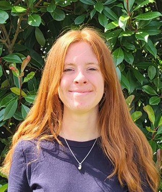 Screenshot 2026-03-19 133741