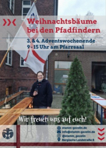 baumverkauf 2025 andreas